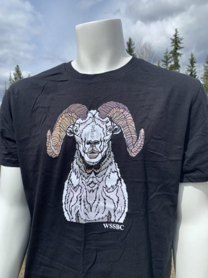 Wild Sheep Collaboration